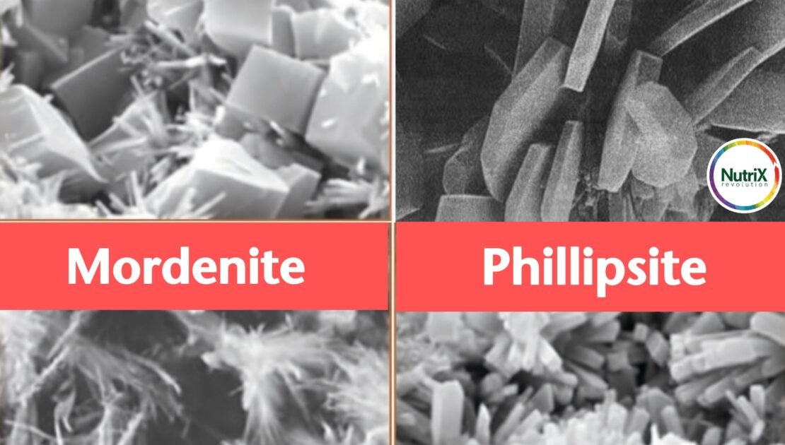 Zeoliti, la differenze. Clinoptilolite unica con struttura lamellare