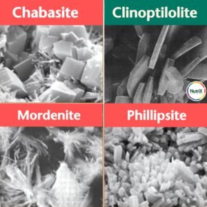 Zeoliti, la differenze. Clinoptilolite unica con struttura lamellare